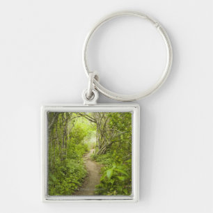 Chaveiro Trajeto através da floresta