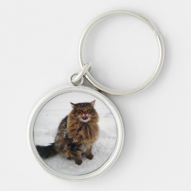 Chaveiro Travando um floco de neve (Frente)