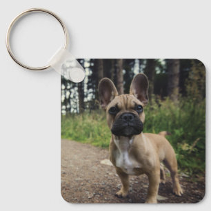 Chaveiro Travesseiro decorativo de Buldogue Francês
