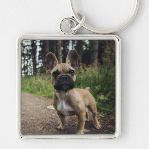 Chaveiro Travesseiro do Bulldog Francês