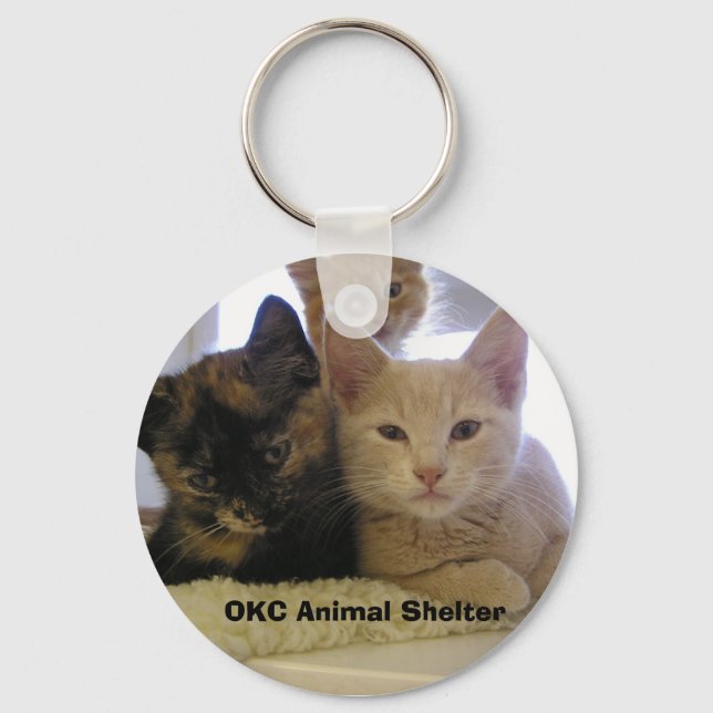 Chaveiro Três Gatinhos De Abrigo (Frente)