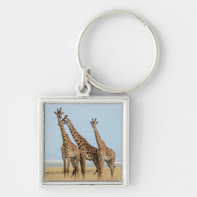 Chaveiro Três girafas posando (Frente)