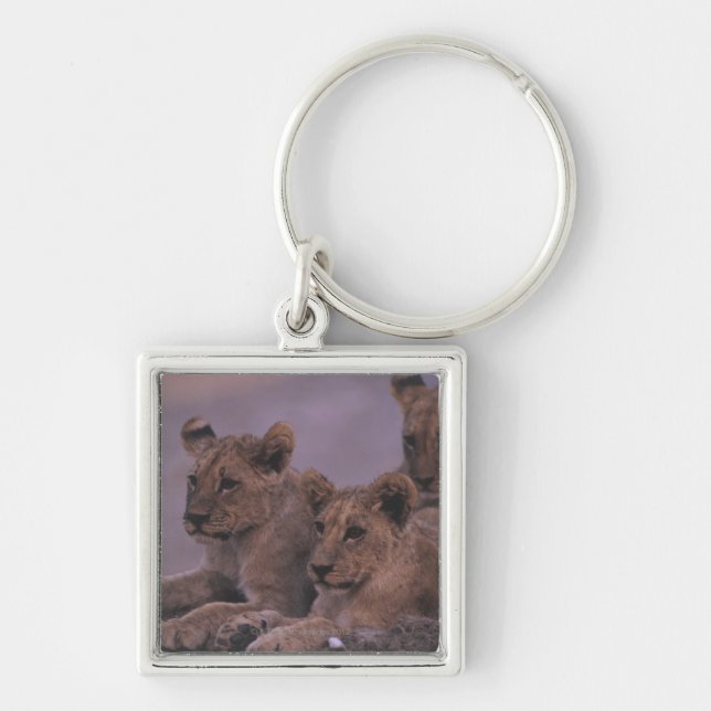 Chaveiro Três leão Cubs (Frente)