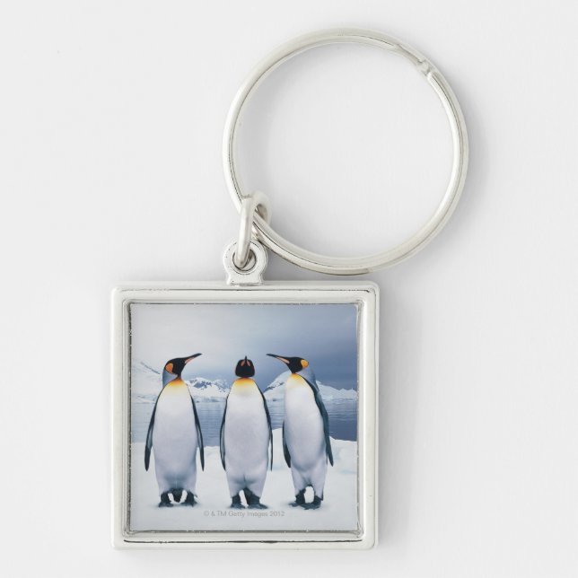 Chaveiro Três rei pinguins (Frente)