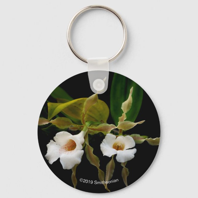 Chaveiro Trichopilia Tortilis (Frente)