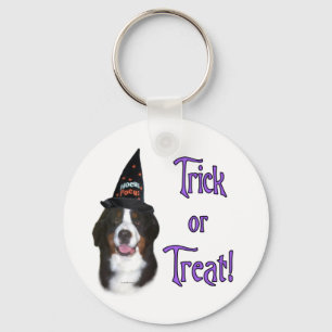 Chaveiro Trick de Cachorro da Montanha Bernese