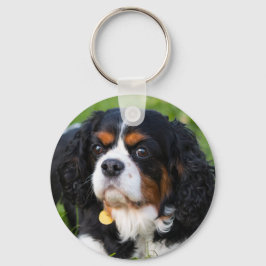 Chaveiro Tricolor Cavalier King Charles Spaniel Dog