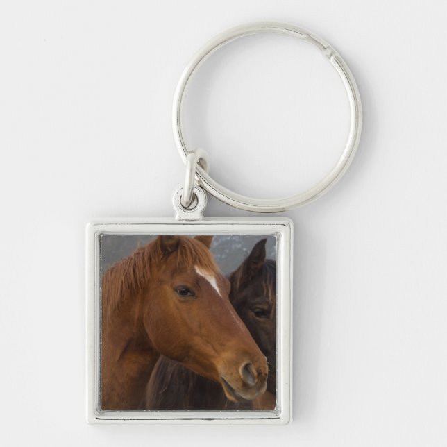 Chaveiro Triplets de cavalos (Frente)