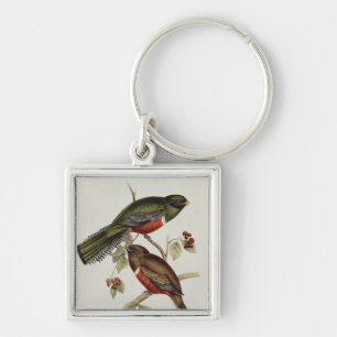 Chaveiro Trogon Collaris
