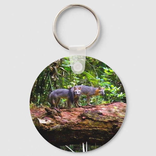 CHAVEIRO TRONCO DE CAUDA FOX (Frente)