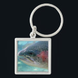 Chaveiro Truta de arco-íris<br><div class="desc">Caracteriza uma foto do fim-acima de uma truta de arco-íris (chamada às vezes uma truta salmon) através de uma janela de visão na incubação dos peixes de Bonneville em Oregon. A truta de arco-íris é a mesma espécie que a truta prateada, a diferença que é essa truta prateada tem um...</div>