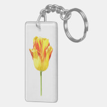Tulipa amarela e vermelha