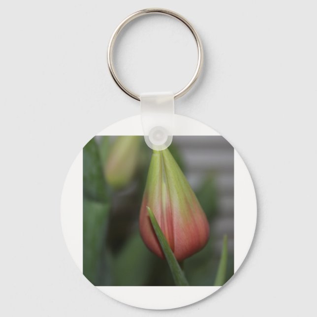 Chaveiro Tulipa Budding nº 2 (Frente)