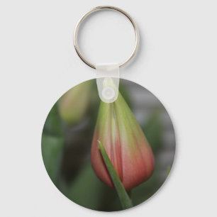 Chaveiro Tulipa Budding nº 2