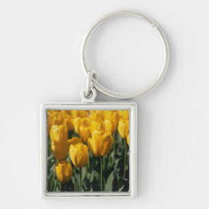 Chaveiro Tulipas 3