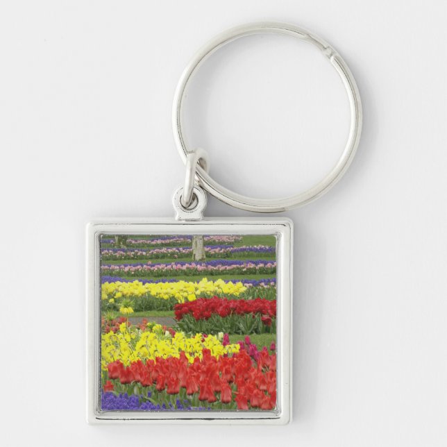 Chaveiro Tulipas, Jacintos de Uva e Narcisos, 2 (Frente)