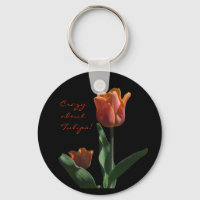 Tulipas Laranja