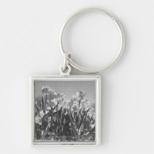 Chaveiro Tulipas na flor