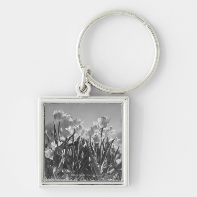 Chaveiro Tulipas na flor (Frente)