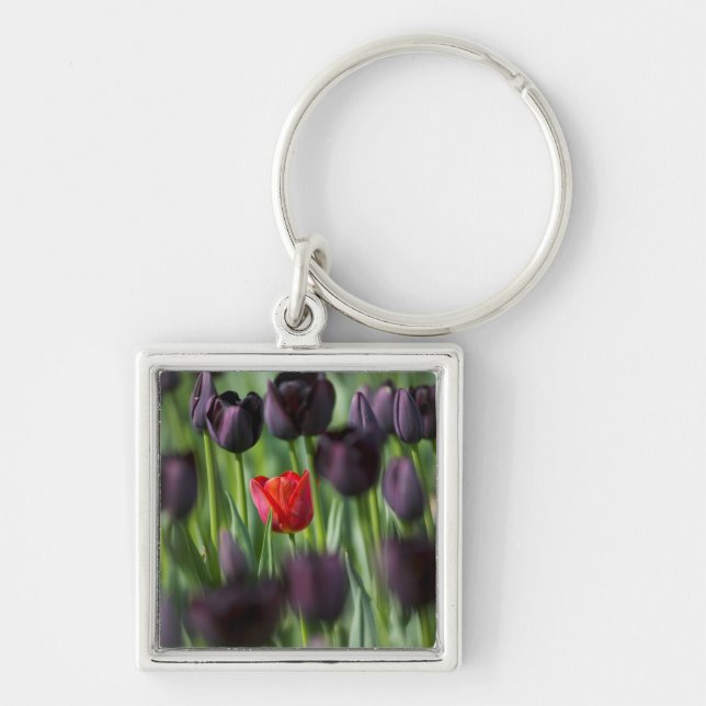 Chaveiro Tulipas nos Jardins Keukenhof, Amsterdã, (Frente)