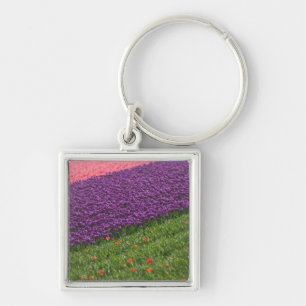 Chaveiro Tulipas nos Jardins Keukenhof, Amsterdã, 3