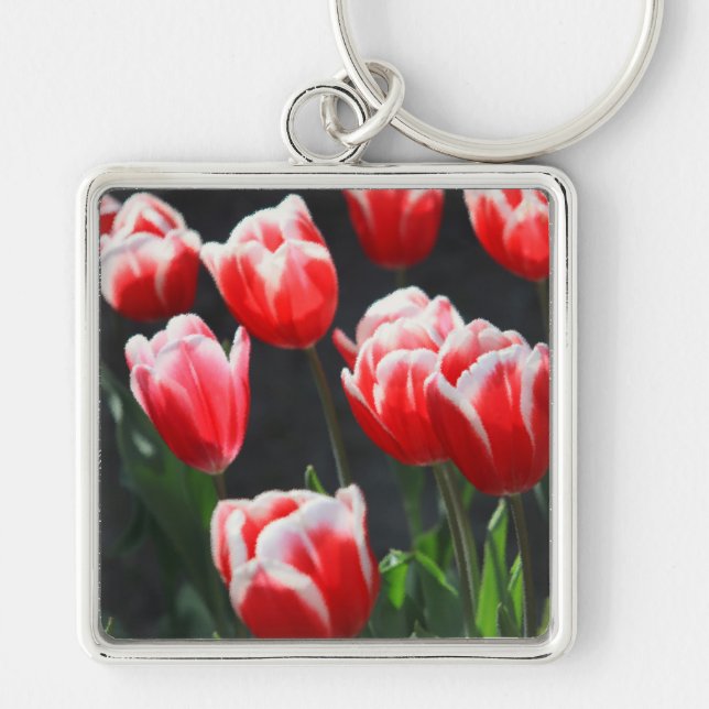 Chaveiro Tulipas vermelhas e brancas (Frente)