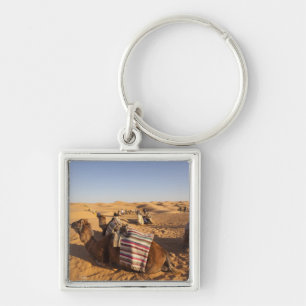 Chaveiro Tunísia, Área Ksour, Ksar Ghilane, Grand Erg 3