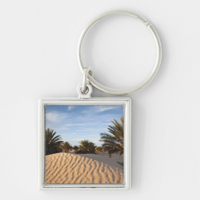 Chaveiro Tunísia, Deserto do Saara, Douz, Grande Duna, palm (Frente)
