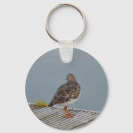 Chaveiro Turnstone