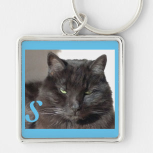Chaveiro Turquesa de Foto de Gato Preto e Bonito Personaliz