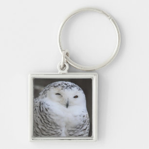 Chaveiro Ueno, Taitoh-ku, Tokyo, Japão