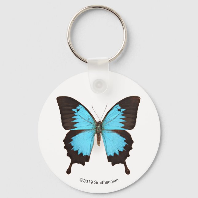 Chaveiro Ulysses Butterfly (Frente)