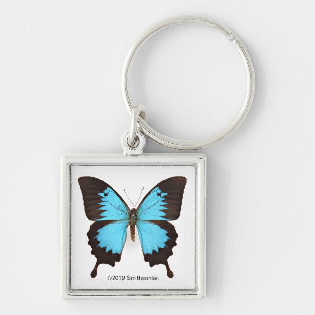 Chaveiro Ulysses Butterfly (Frente)