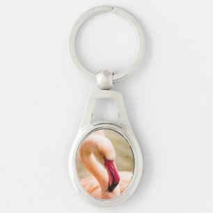 Chaveiro Um Belo Flamingo Rosa