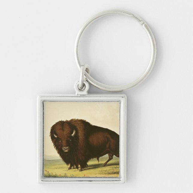 Chaveiro Um bisonte, c.1832 (Frente)