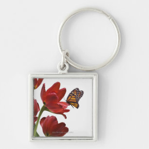 Chaveiro um buquê de tulipas vermelhas é visitado por um