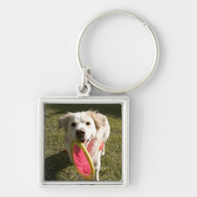 Chaveiro Um cão com um frisbee (Frente)
