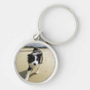 Chaveiro Um cão de border collie que funciona na praia