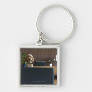 Chaveiro Um cão na sala riving
