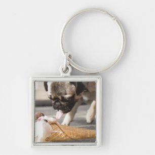 Chaveiro Um cão que come um sorvete de um pavimento