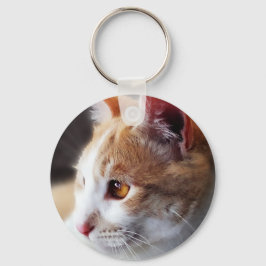 Chaveiro Um Casal de Gatinhos