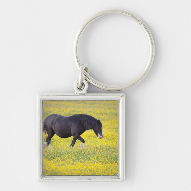 Chaveiro Um cavalo que anda em um campo de flores amarelas (Frente)