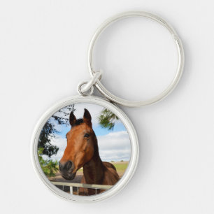 Chaveiro Um Delicioso Cavalo Marrom Esperando Para Ir Para