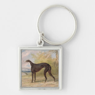Chaveiro Um dos galgos de vencimento do Fox da pista de