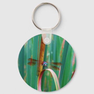 Chaveiro Um Dragonfly de Olhos Vermelhos com cattails