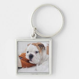 Chaveiro Um filhote de cachorro inglês do buldogue que jog