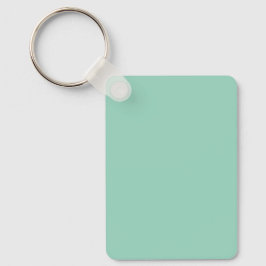 Chaveiro Um fundo verde pastel sólido