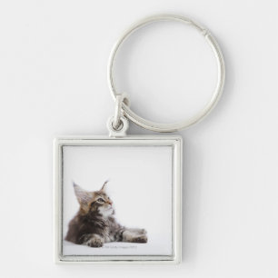 Chaveiro Um gatinho do gato de racum de Maine