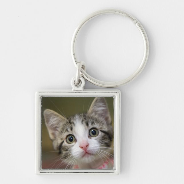 Chaveiro Um gatinho fofo com olhos verdes (Frente)
