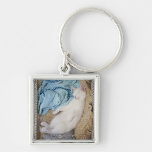 Chaveiro Um gato branco que dorme em uma cesta de